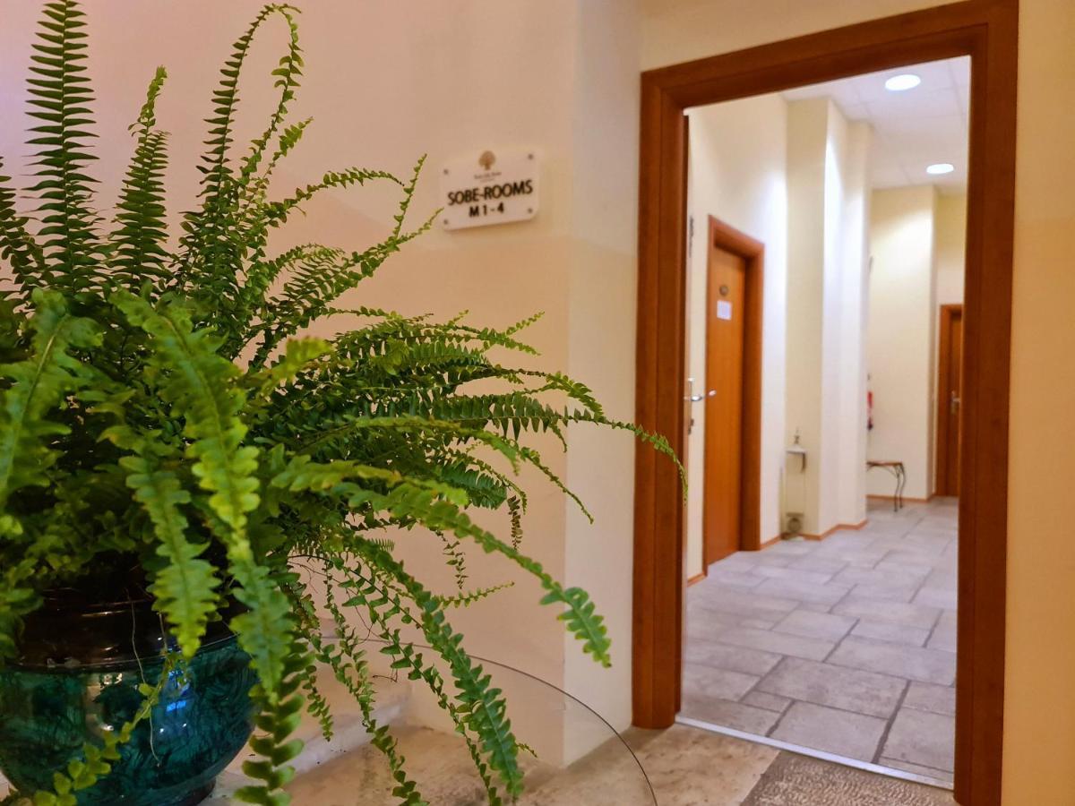 Hotel Stara Sola - Oleander Resort Korte Екстер'єр фото
